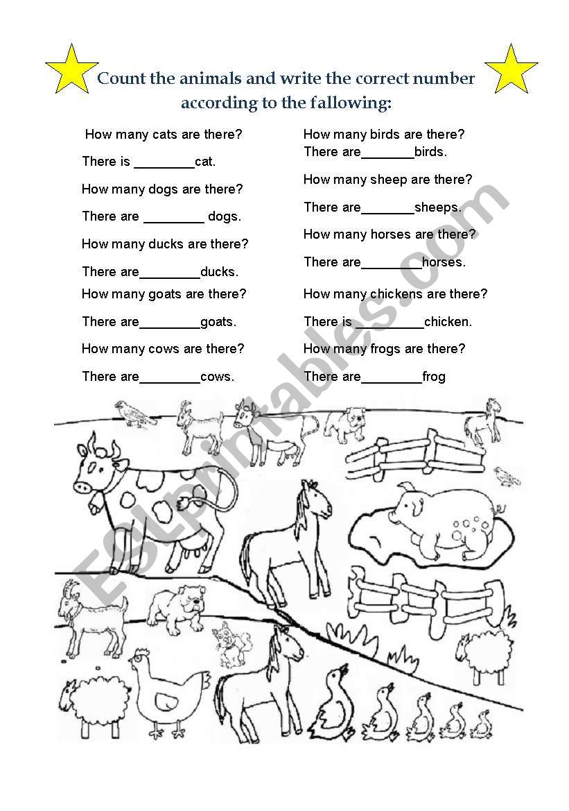 animals  worksheet