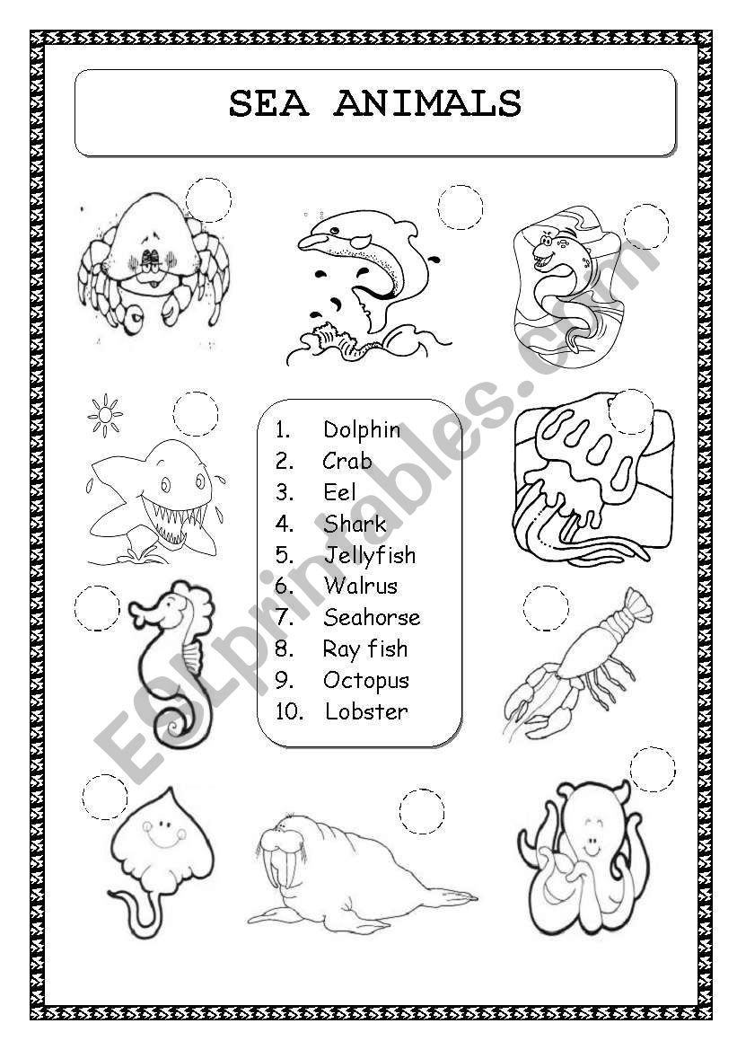 ANIMALS: SEA ANIMALS worksheet