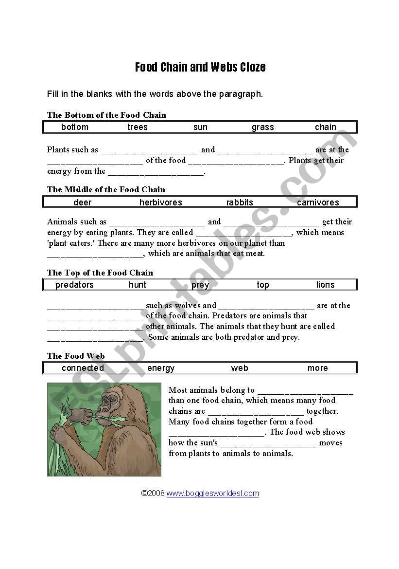 food worksheet