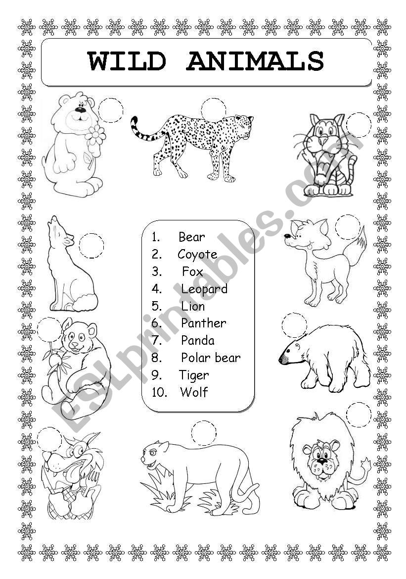 ANIMALS: WILD ANIMALS worksheet