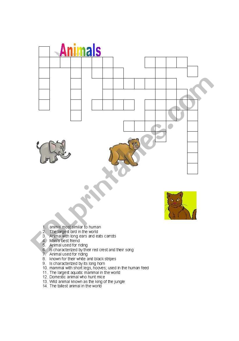 animals worksheet