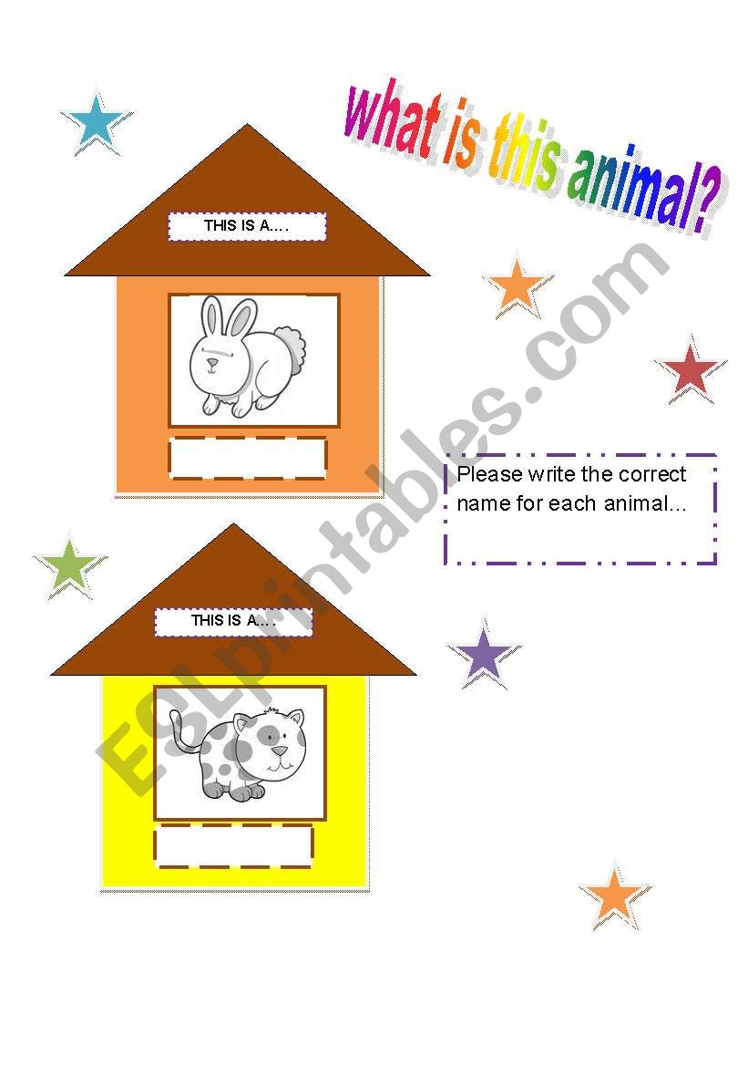 pets worksheet