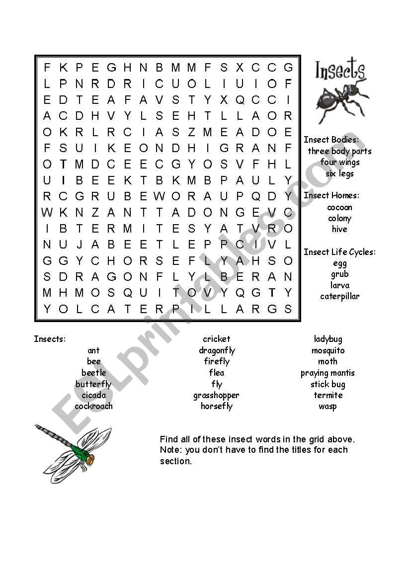Insect Word Search worksheet