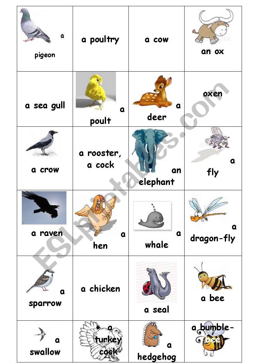 Animals Birds Insects Bingo. or Flash cards