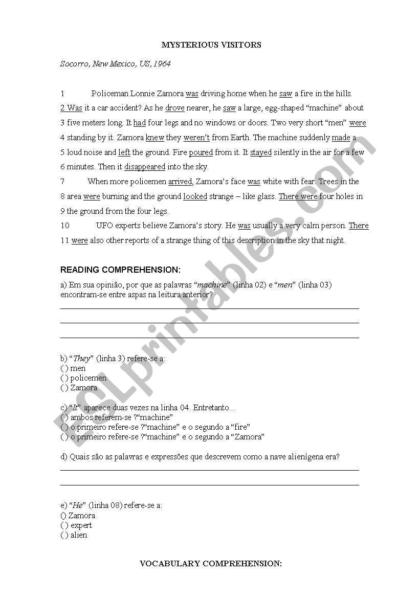 Misteryous Visitors worksheet