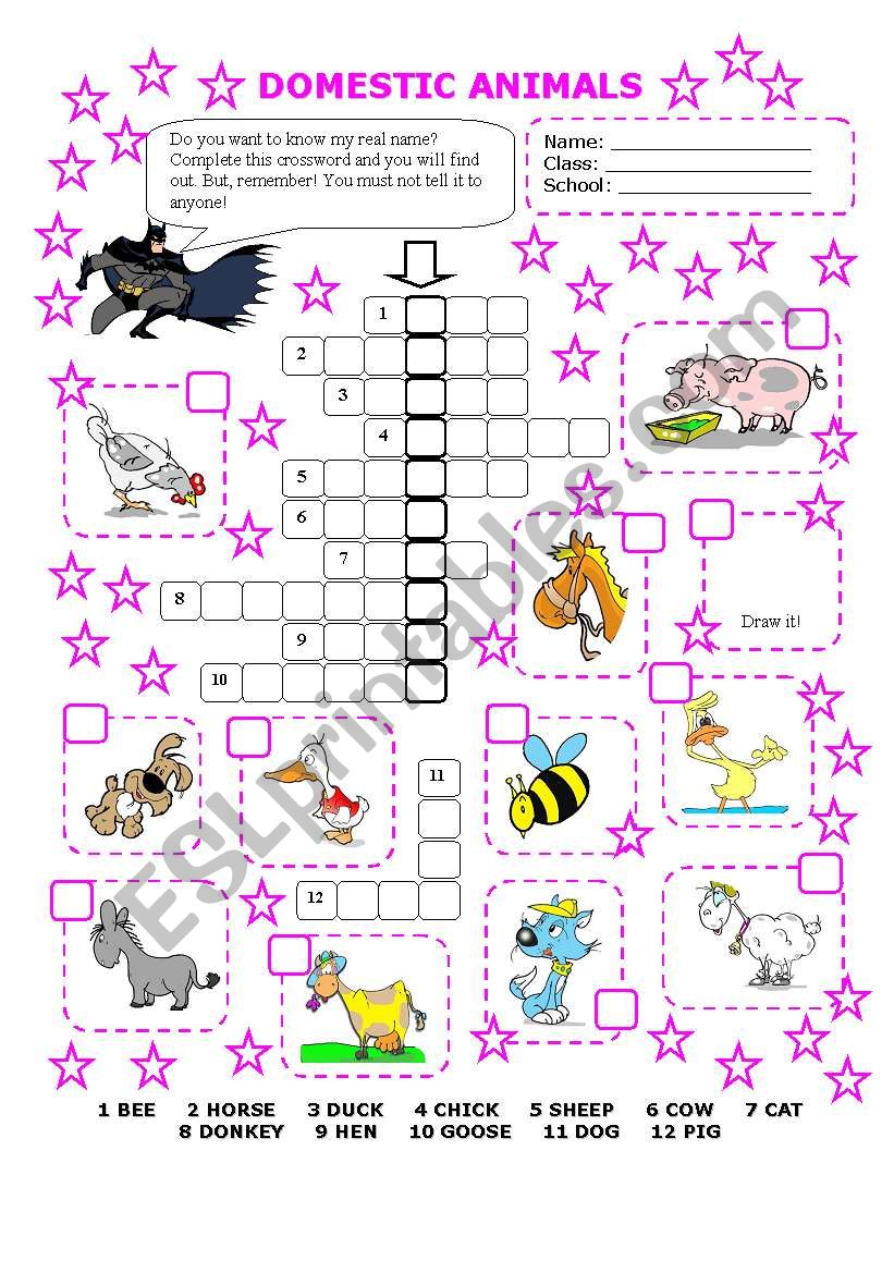 DOMESTIC ANIMALS worksheet