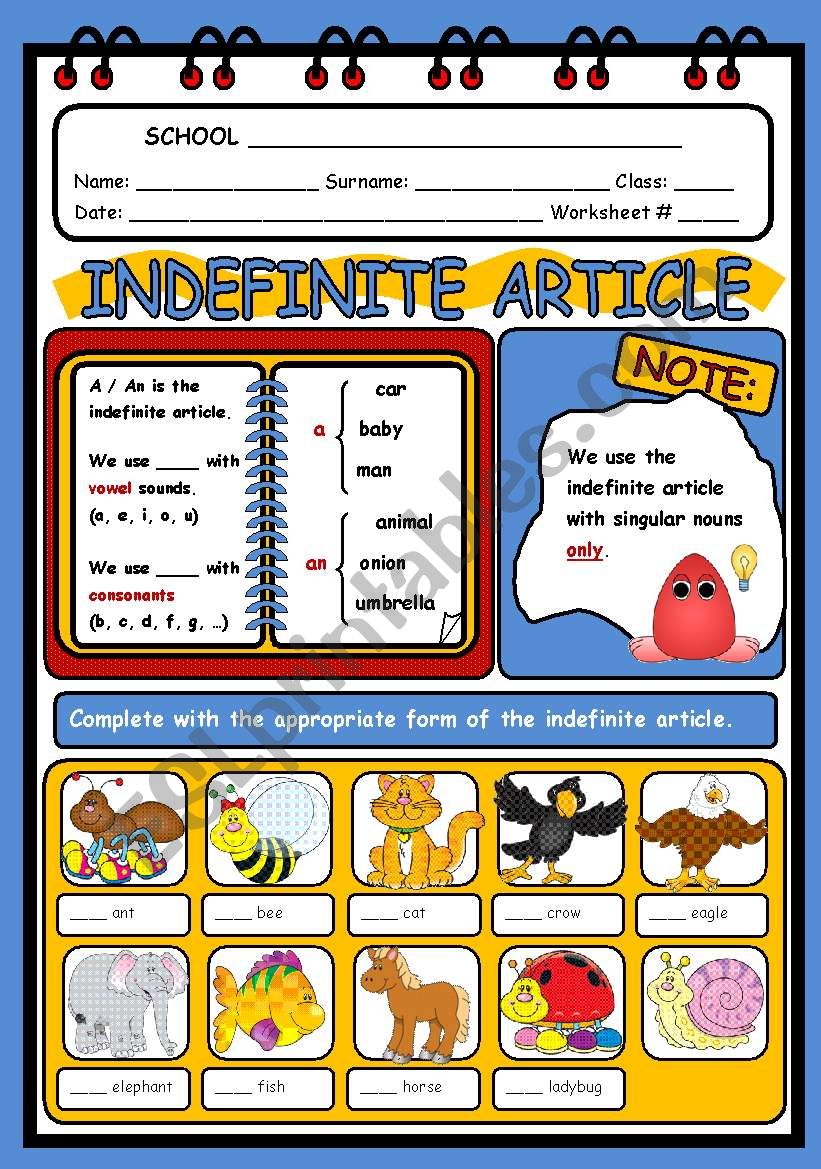 THE INDEFINITE ARTICLE worksheet