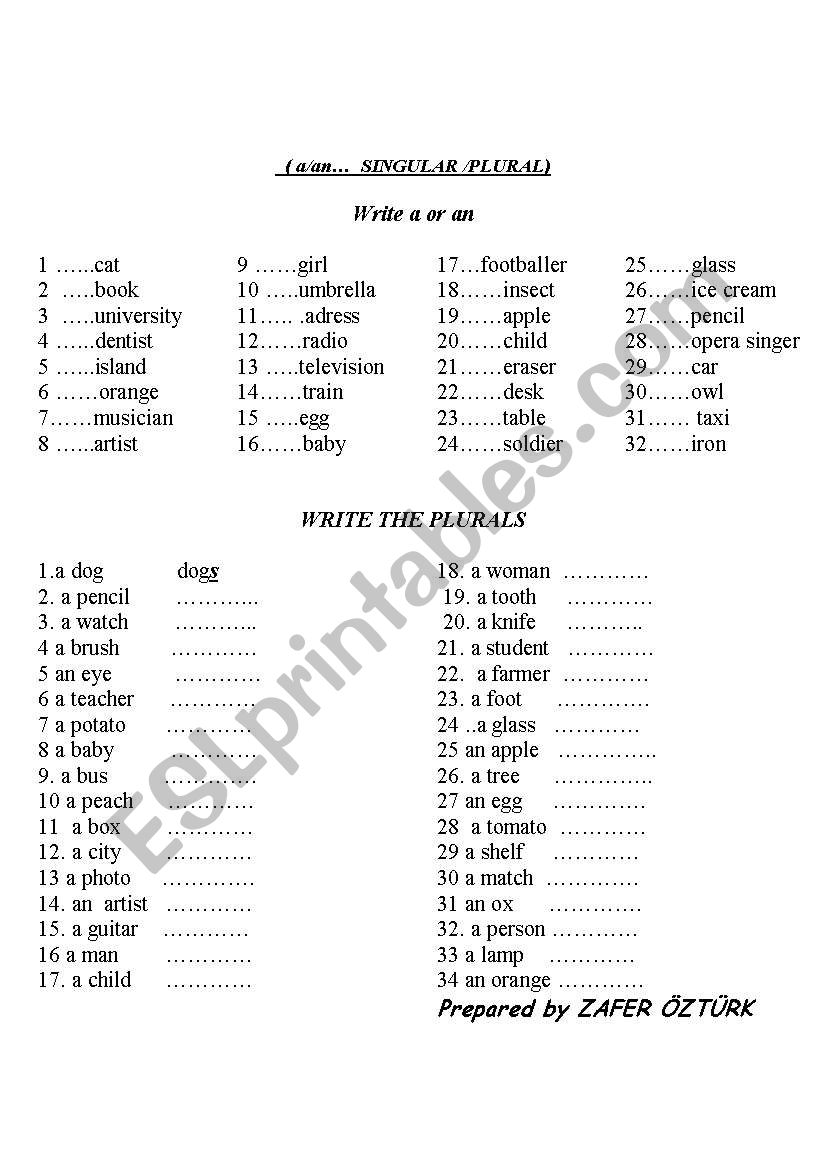 a/an  -plurals worksheet