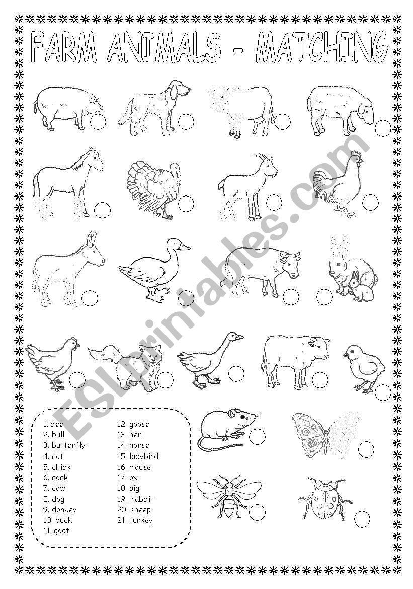 FARM ANIMALS-MATCHING worksheet