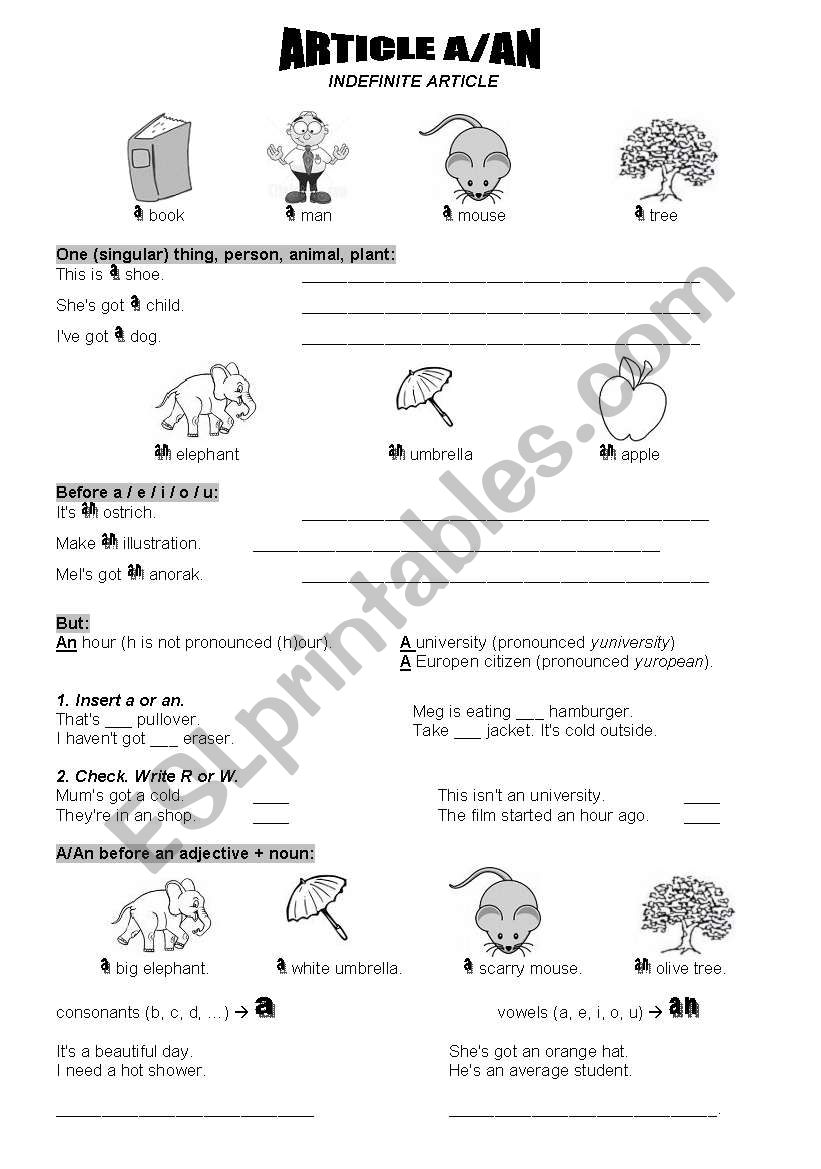 Articles a, an, some, any for Messages 1 Module 2