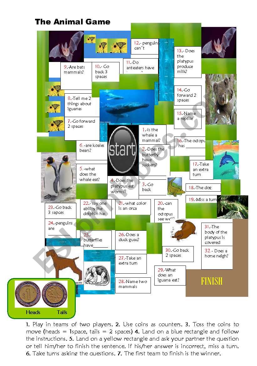 THE ANIMAL GAME worksheet