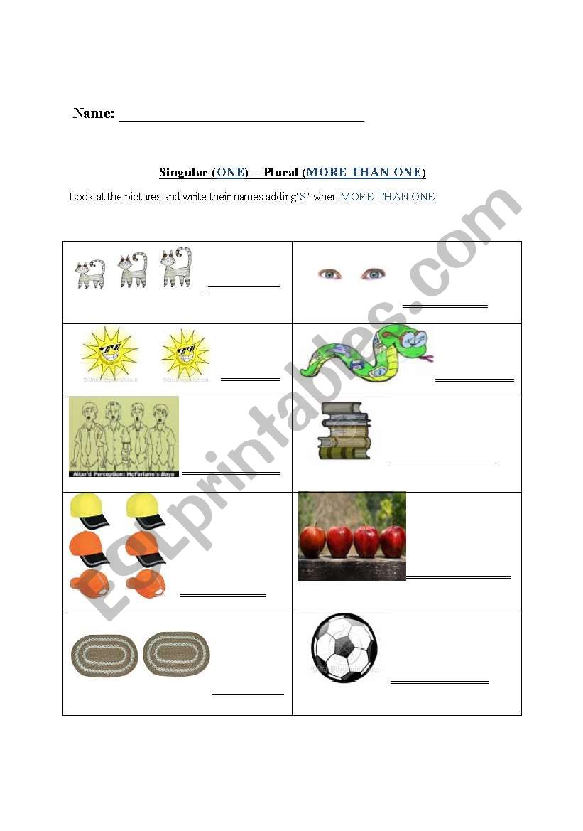 singular and plural worksheet