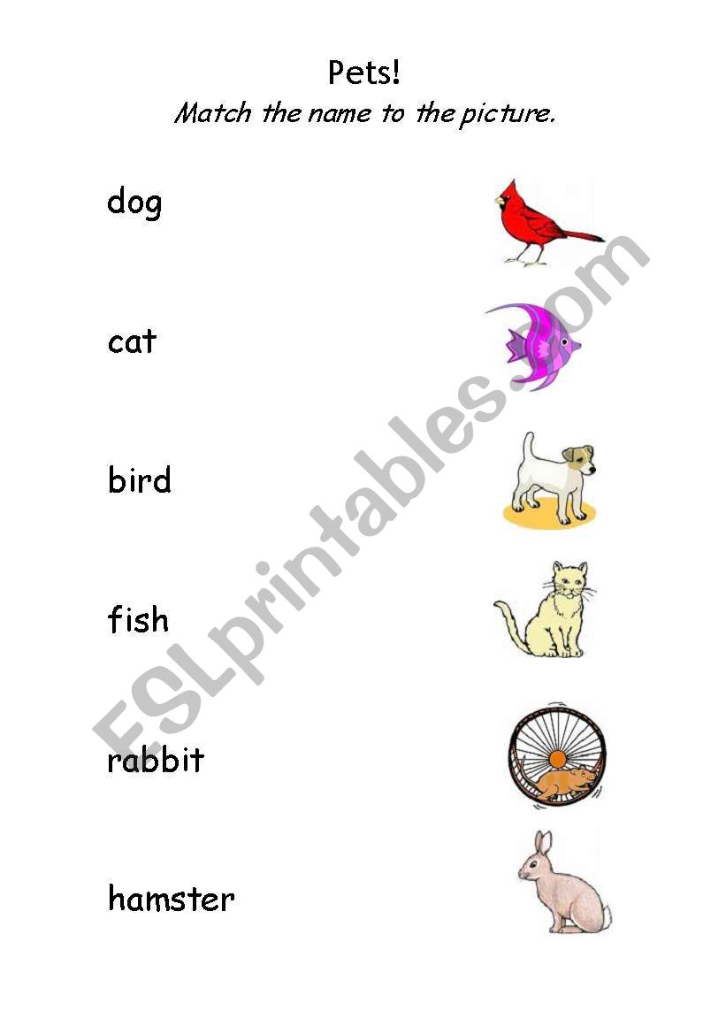 Pets! worksheet