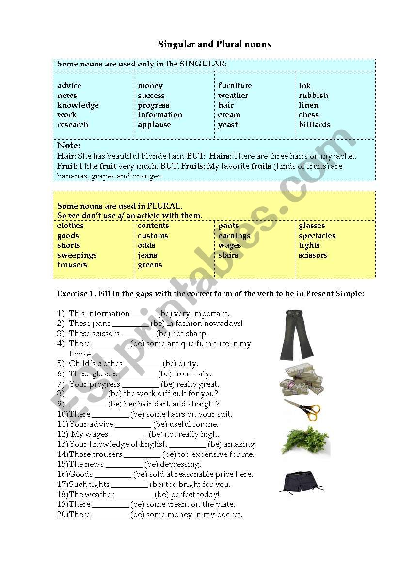 Singular and plural nouns worksheet