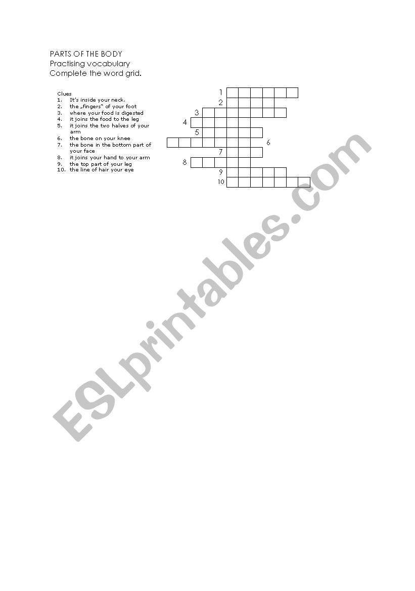 Crossword worksheet