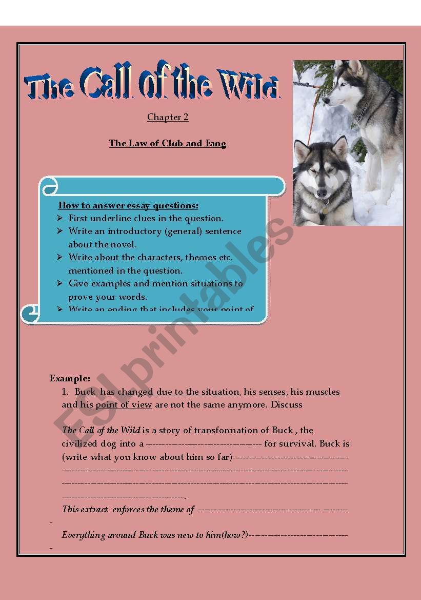 The Call Of The Wild 2 Study Guide Esl Worksheet By Lamyaa
