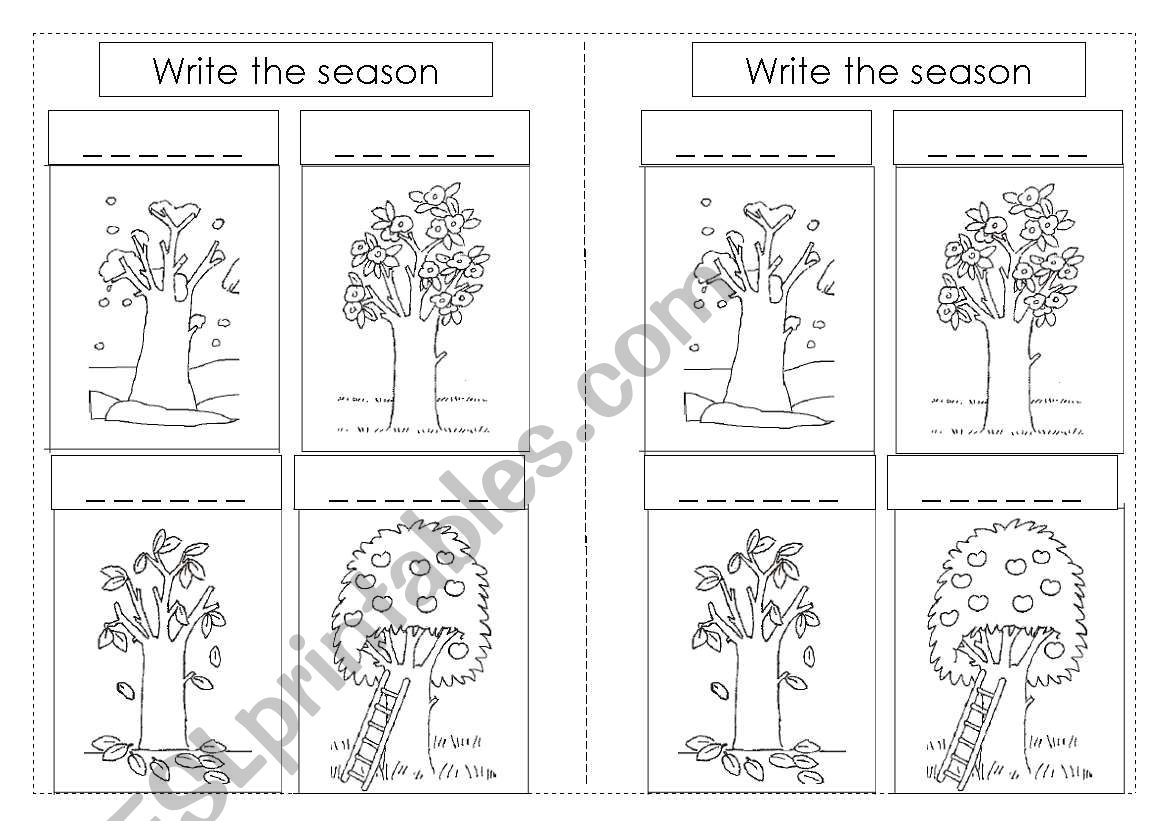 The four seasons worksheet