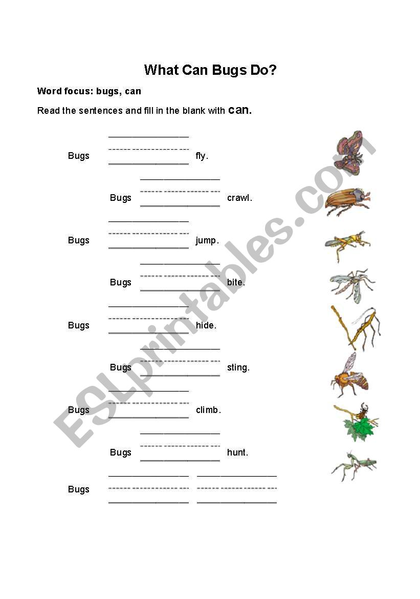 What can bugs do worksheet
