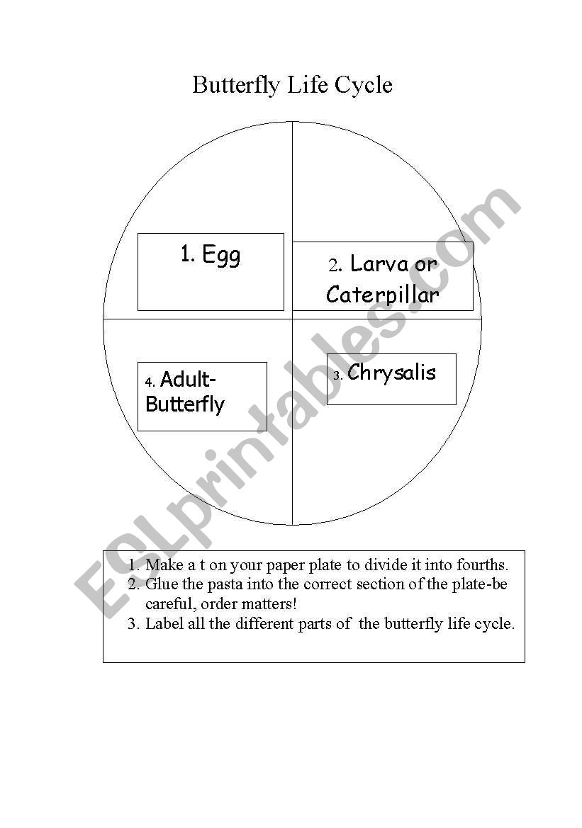 Butterfly life cycle worksheet