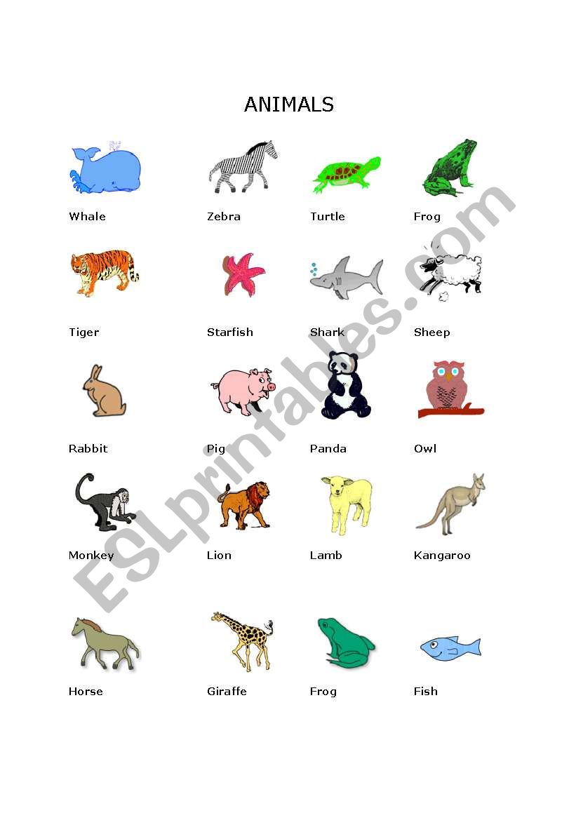 animals worksheet