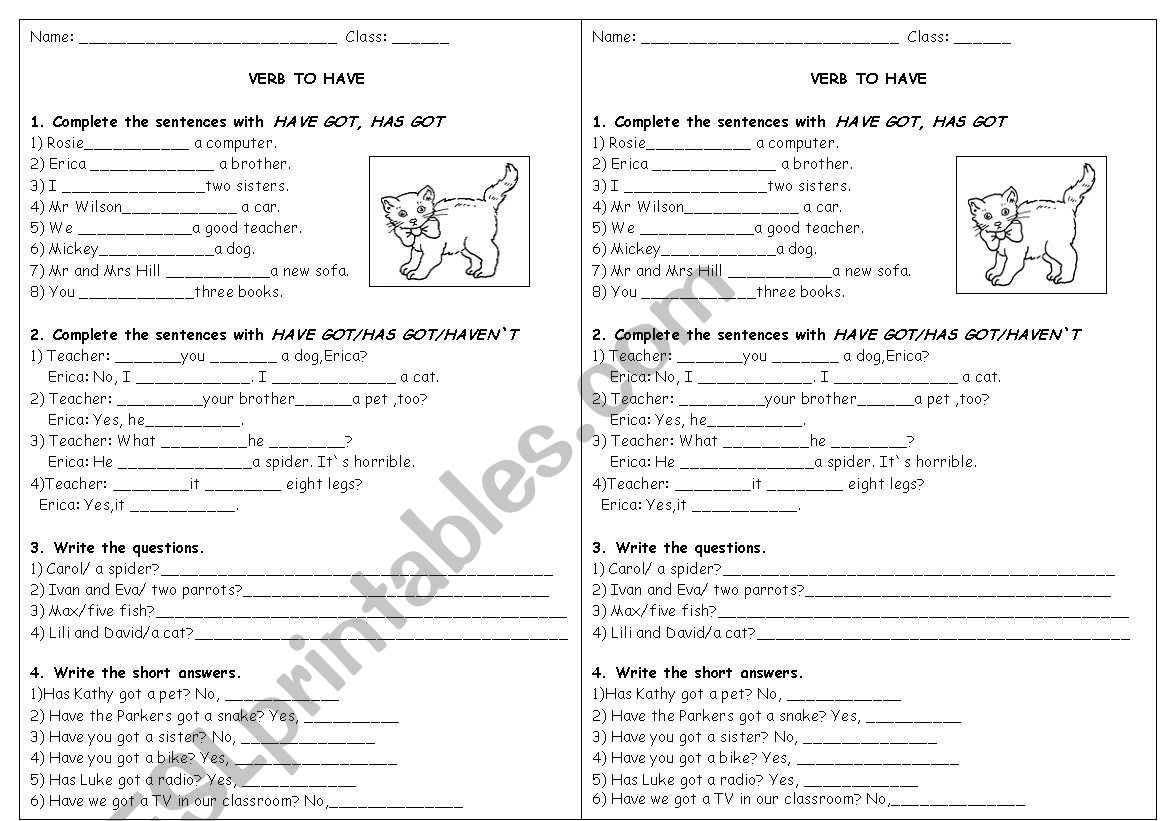 the present of verb TO HAVE worksheet