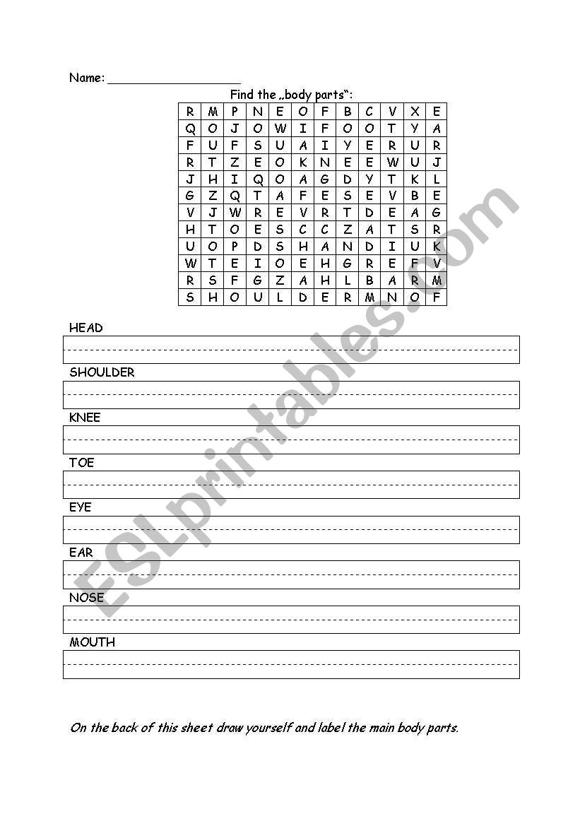 body parts  worksheet