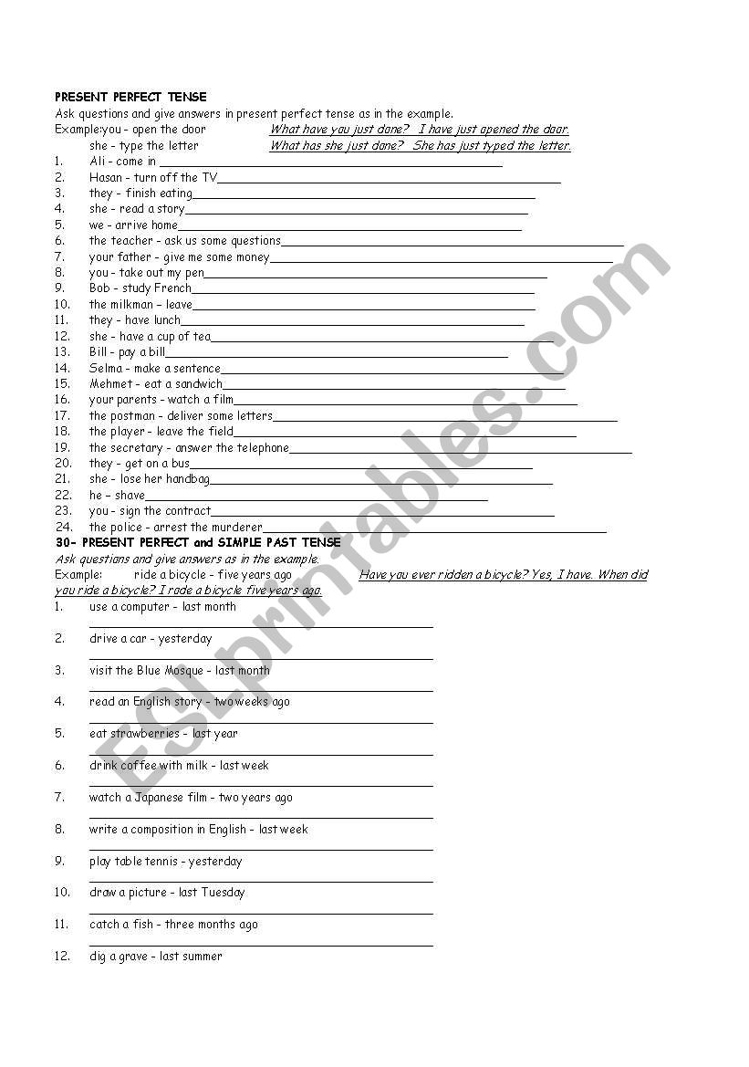 present perfect worksheet