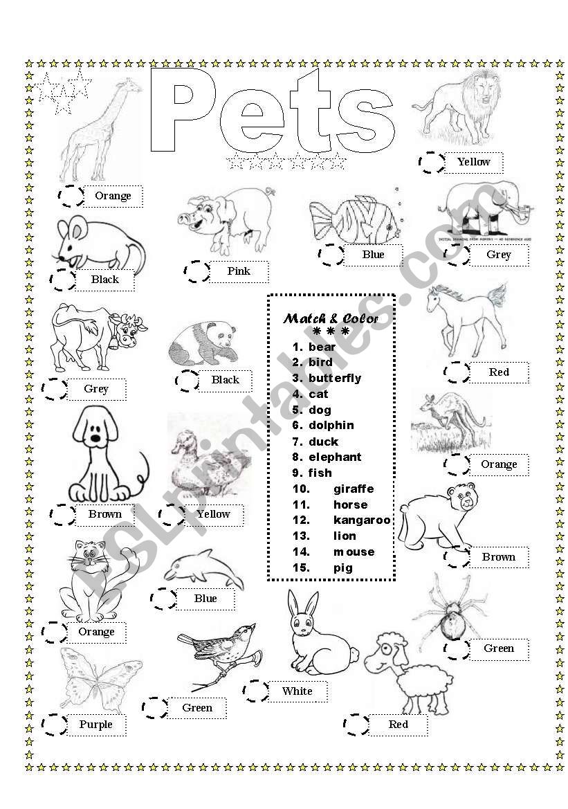 Coloring & Matching Pets worksheet