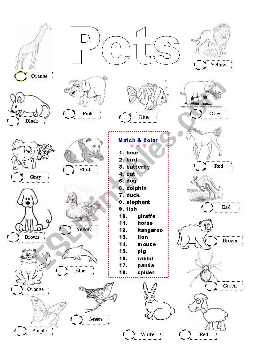 Pets - match & color worksheet