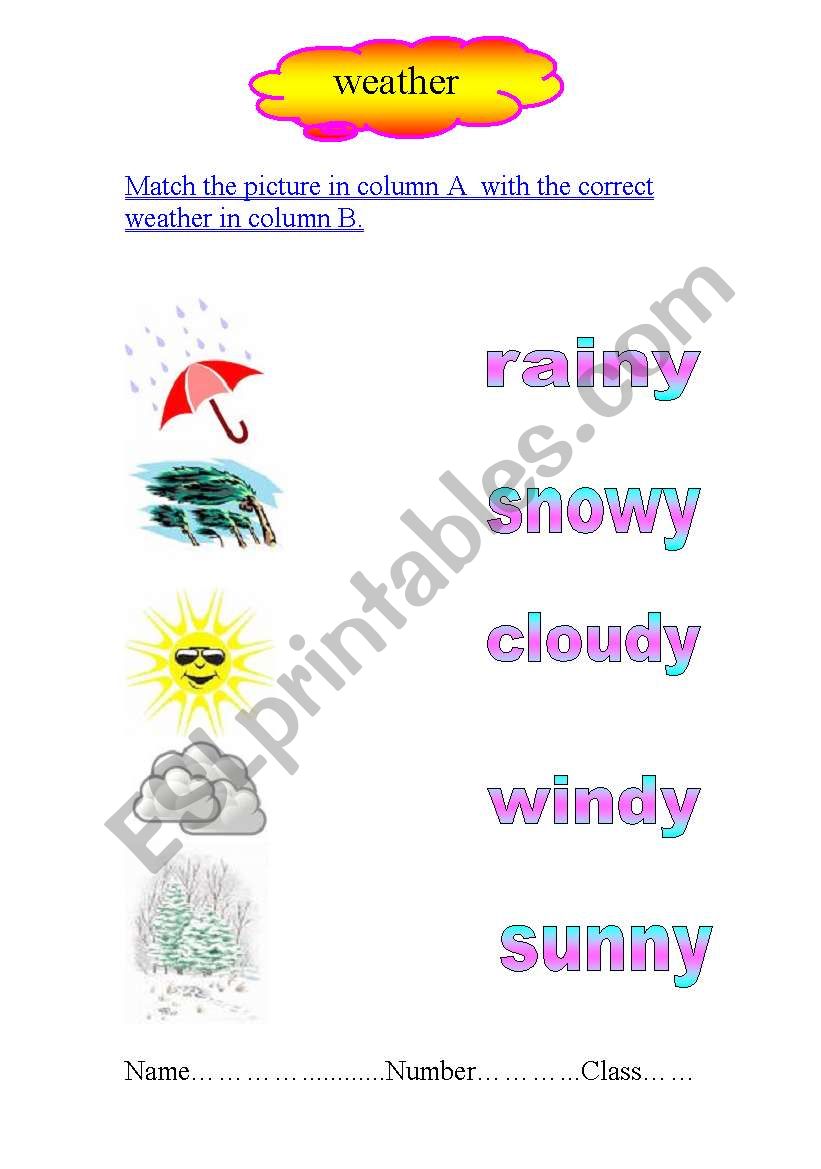 weather worksheet