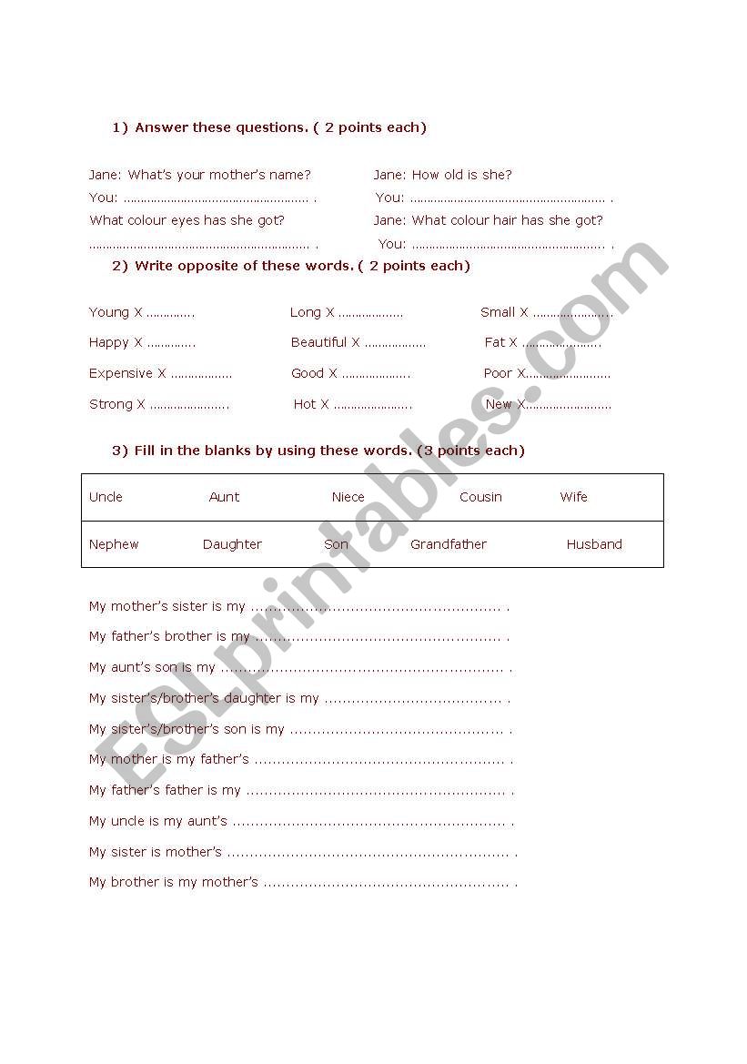 6th grade exam worksheet