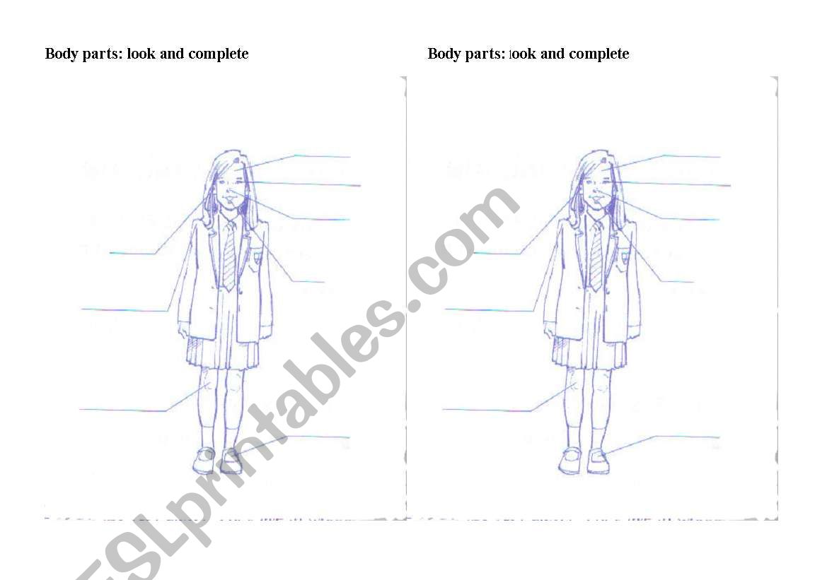 Body parts worksheet