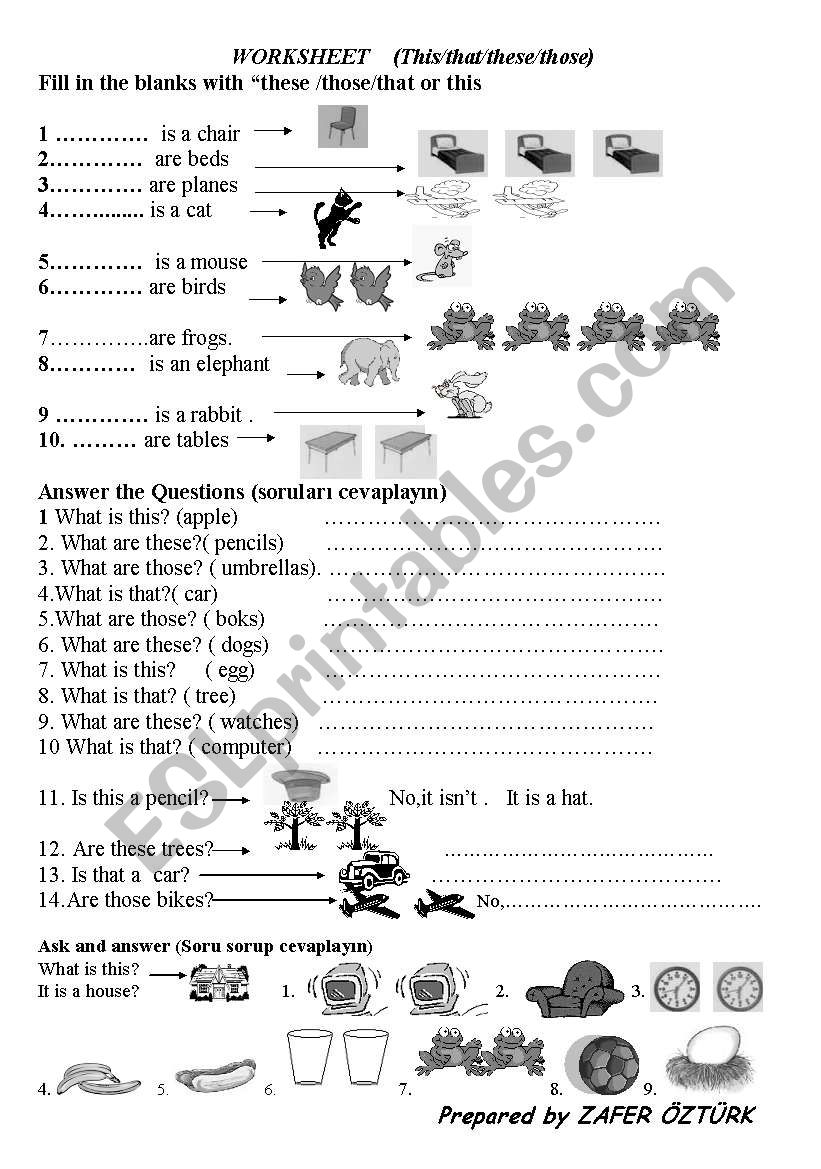 Demonstrative adjectives worksheet