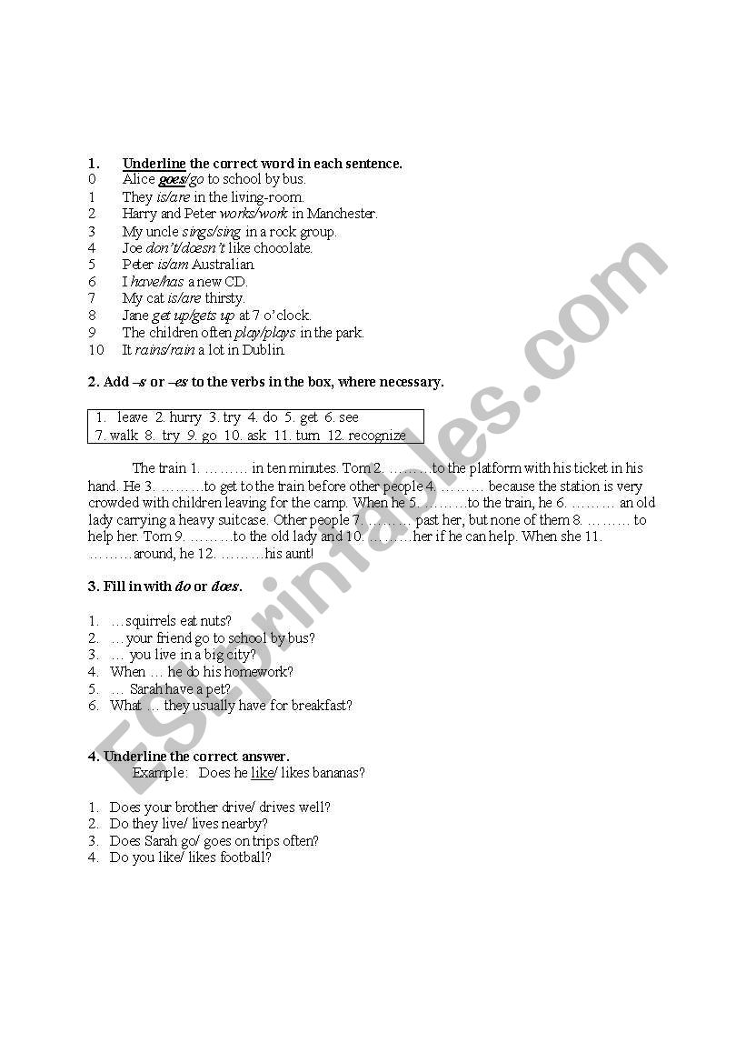 present simple exercises worksheet