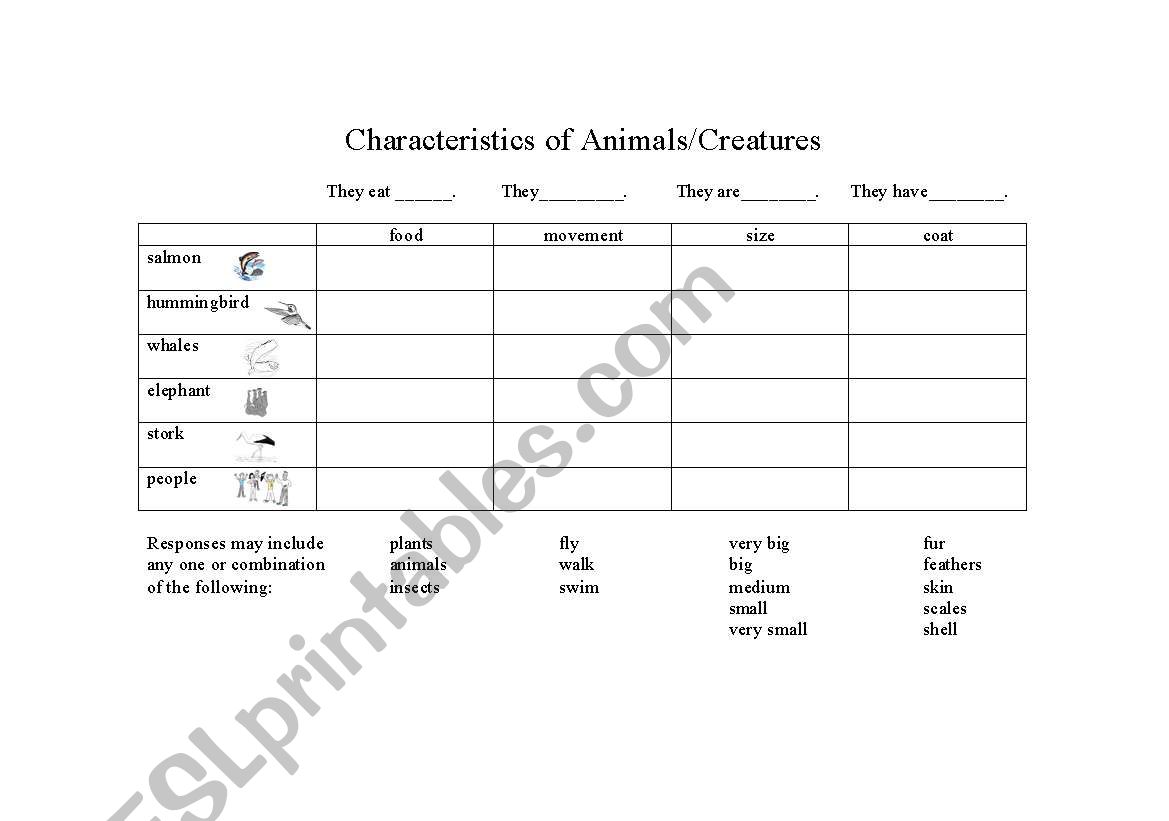 Characteristics of Animals worksheet
