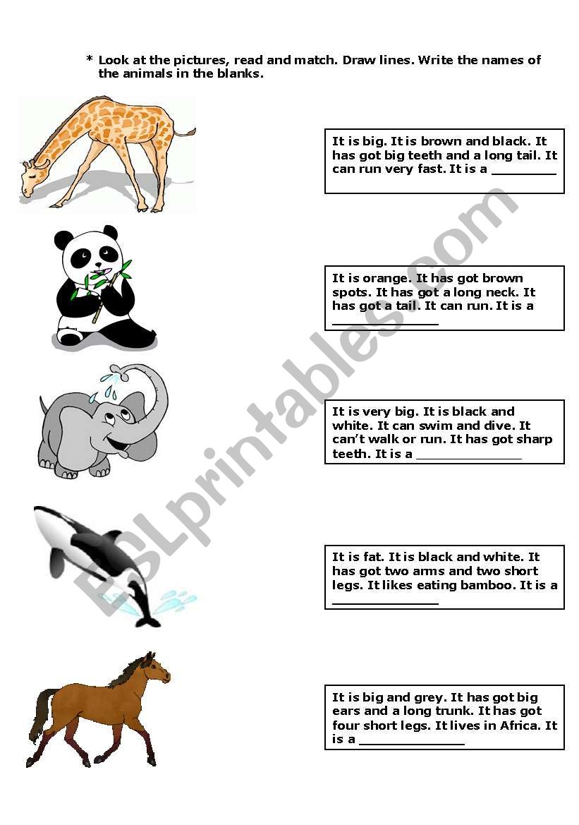 ANIMAL DESCRIPTION worksheet