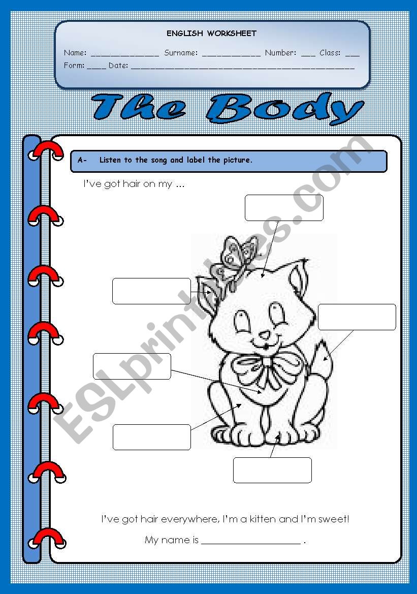 the body worksheet