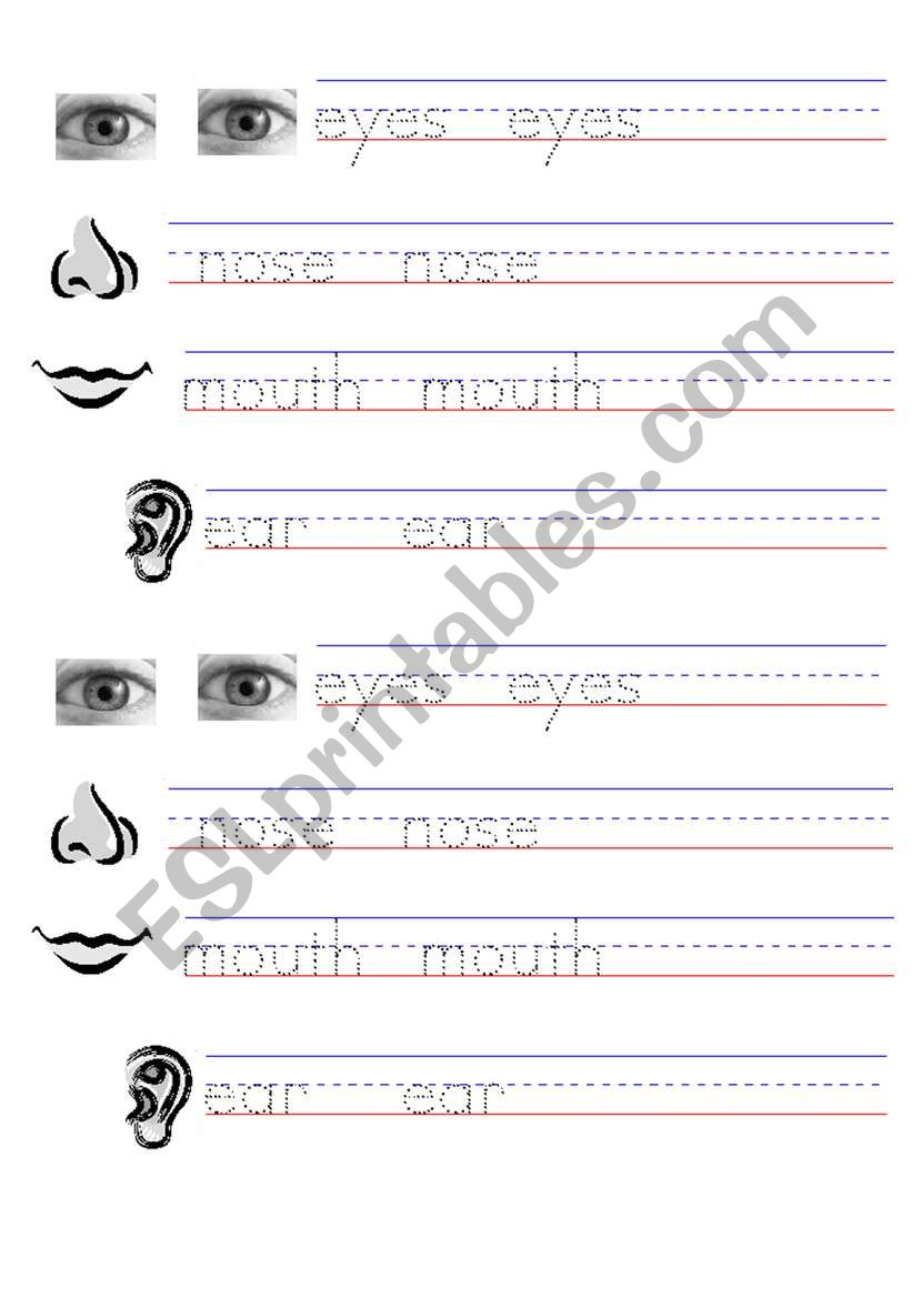 Practice writting Body parts word