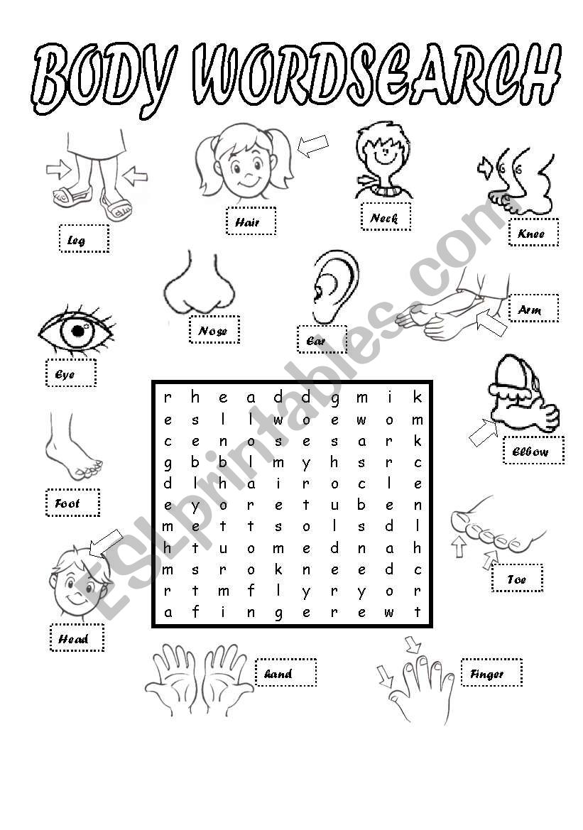 Human Body Word Search Printable