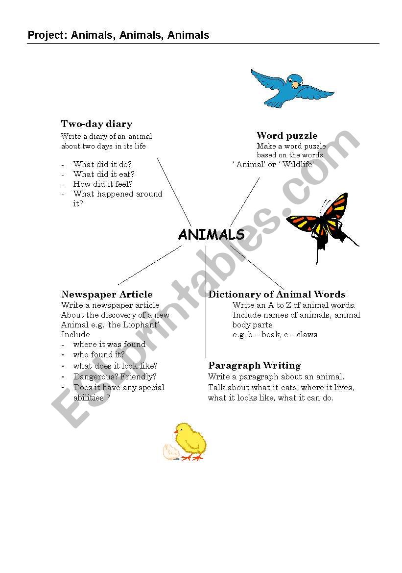 Animal project worksheet