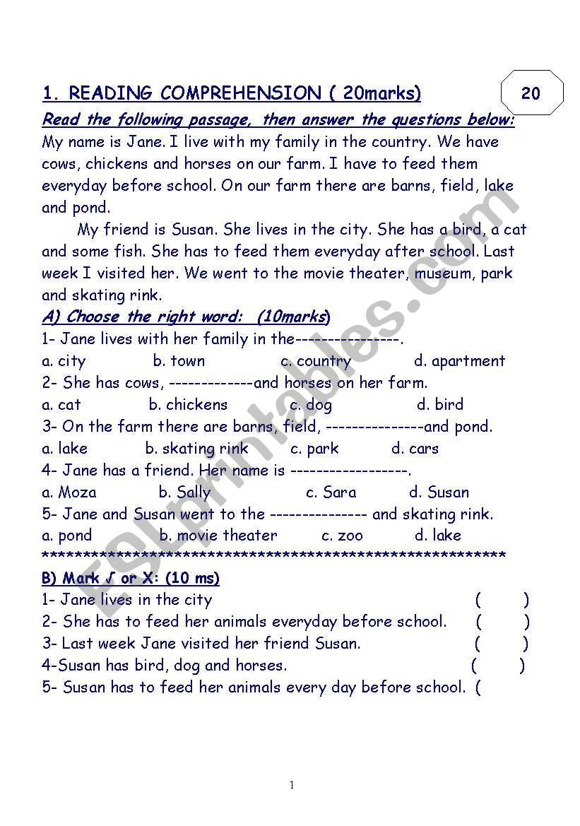 reading comprehension worksheet