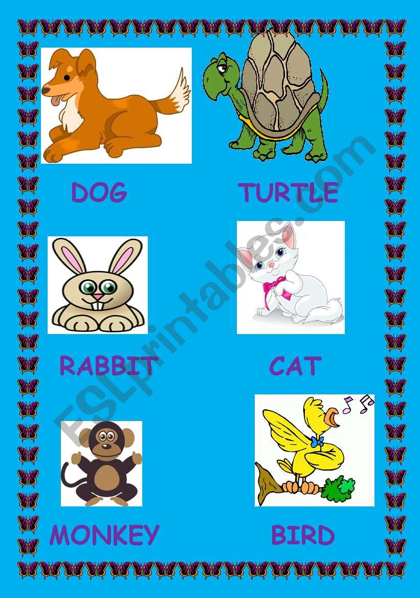 animals worksheet