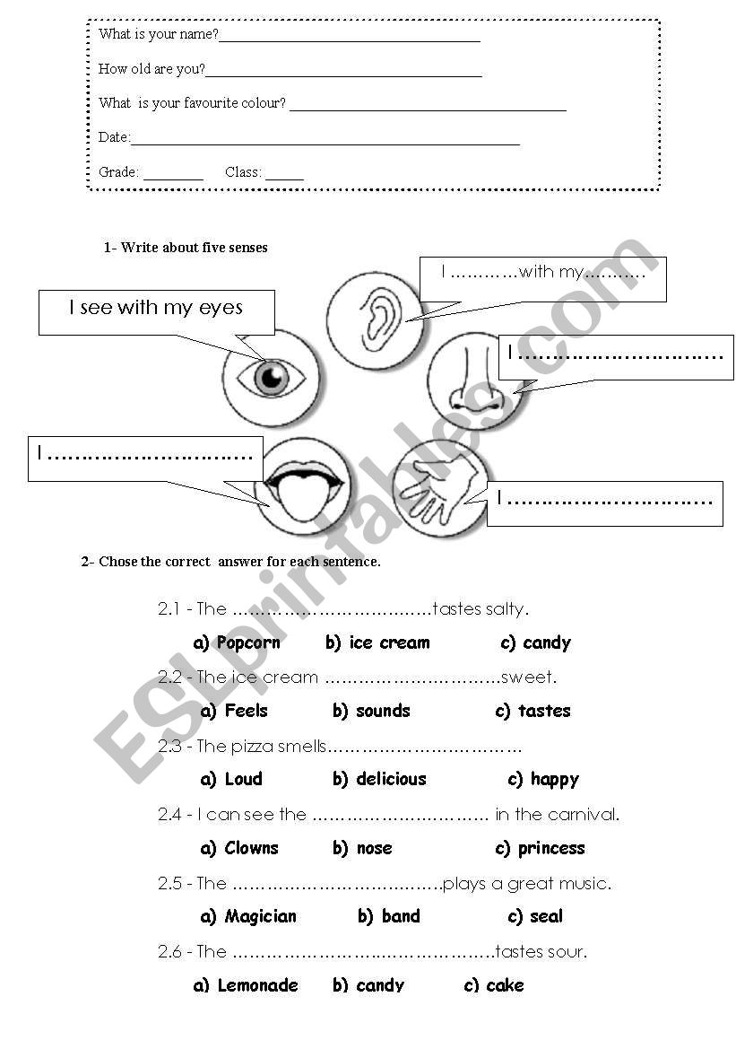 The five senses worksheet