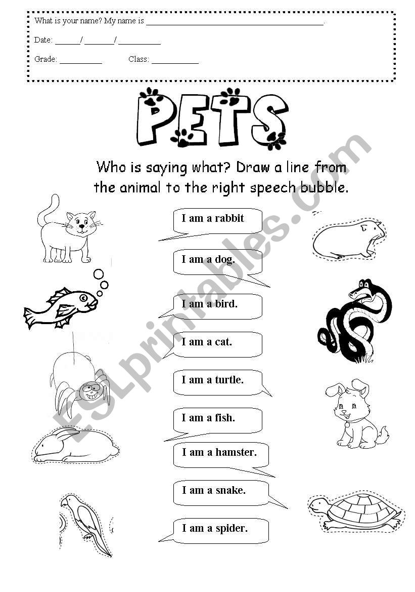 Pets - Who is Who? worksheet