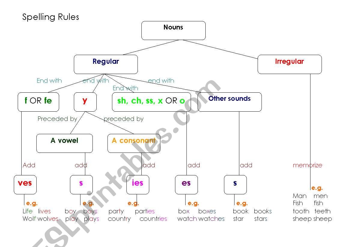 Spelling Rules of Nouns worksheet
