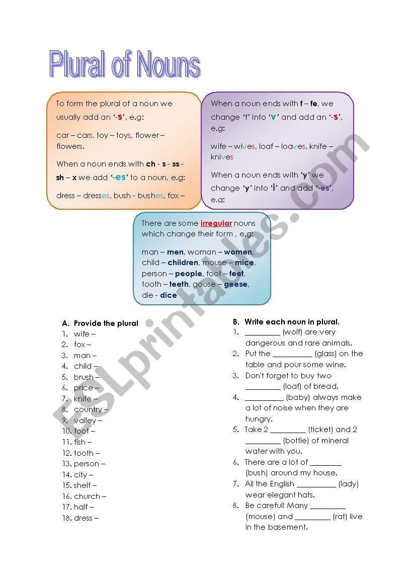 plural of nouns worksheet