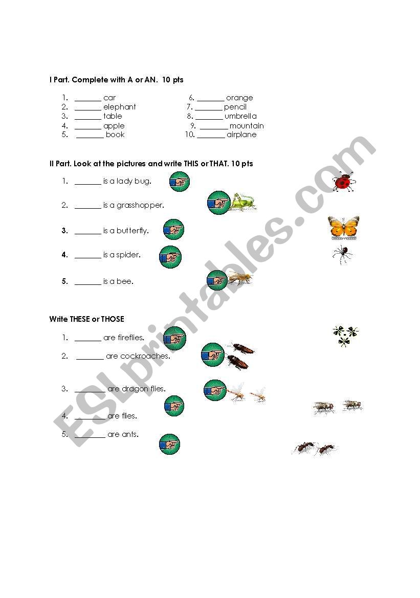 animals worksheet