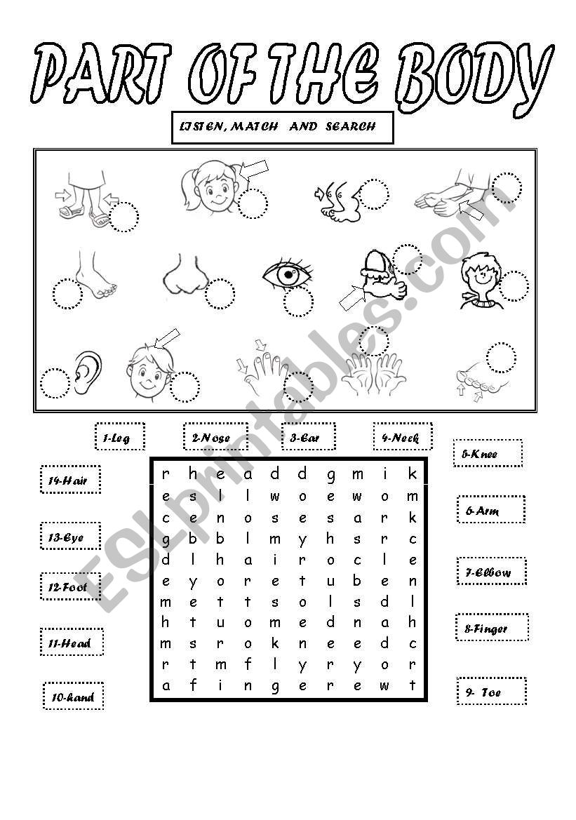 PARTS OF THE BODY worksheet