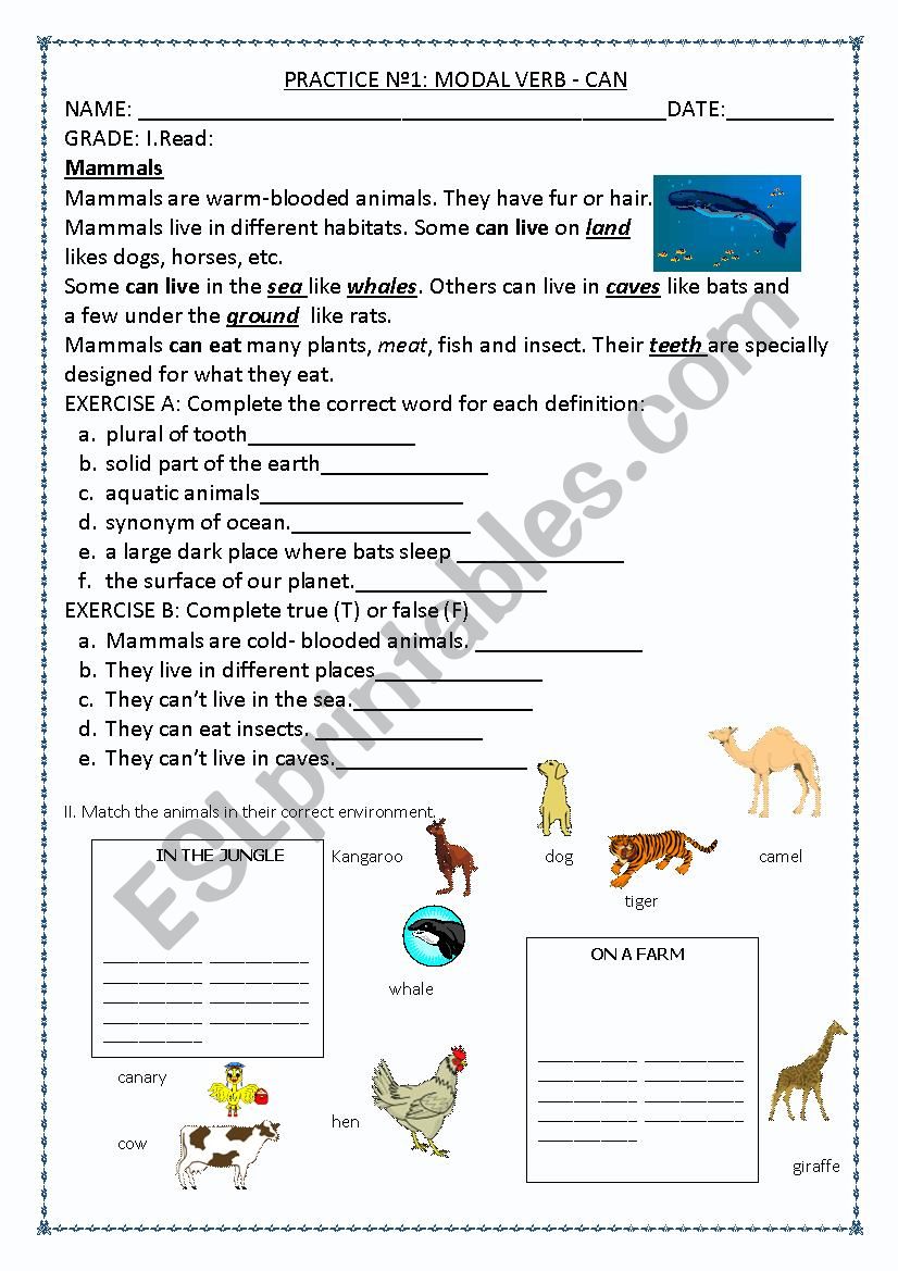 THE MAMMALS worksheet