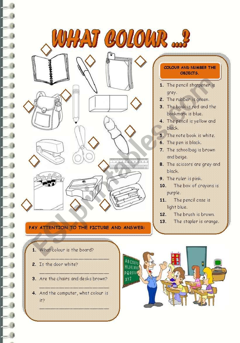 WHAT COLOUR...? worksheet